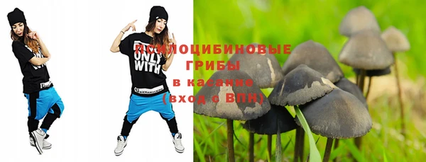 стаф Алексин