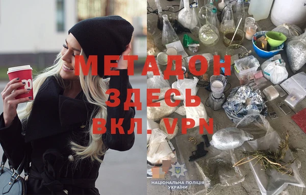 стаф Алексин