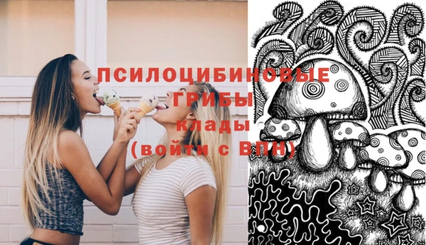 стаф Алексин