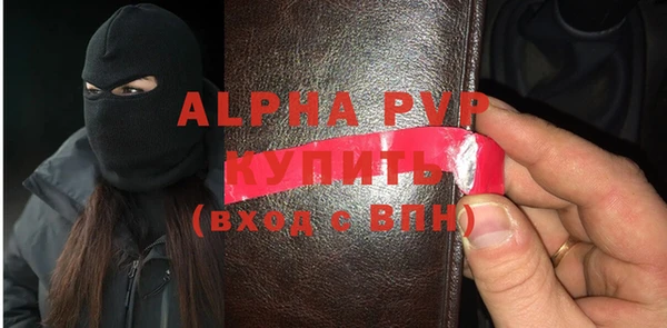 стаф Алексин