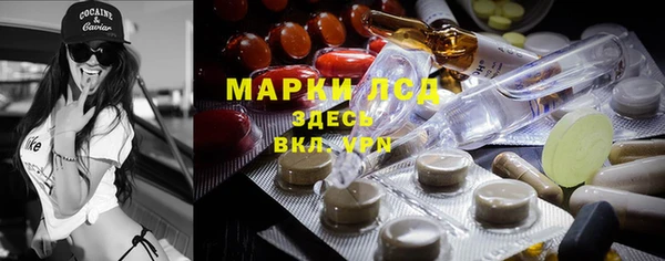 стаф Алексин
